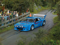 Fly BMW M1