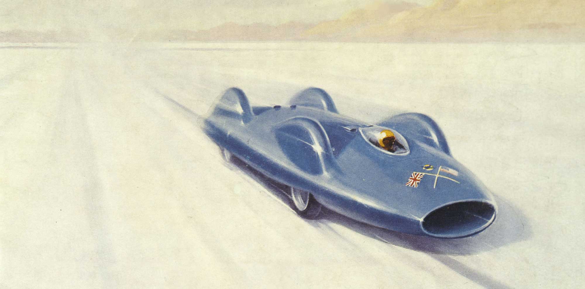 Bluebird-CN7 painting