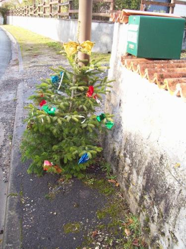 Filename: 101_0906.jpg
Size: 195.79 KB
Uploaded: 4th-Dec-20, 09:28 AM
Views: 163x