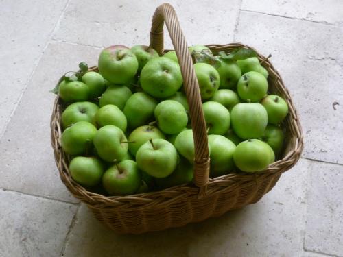 Filename: 01.jpg
Size: 468.09 KB
Uploaded: 5th-Jul-19, 01:49 PM
Views: 165x