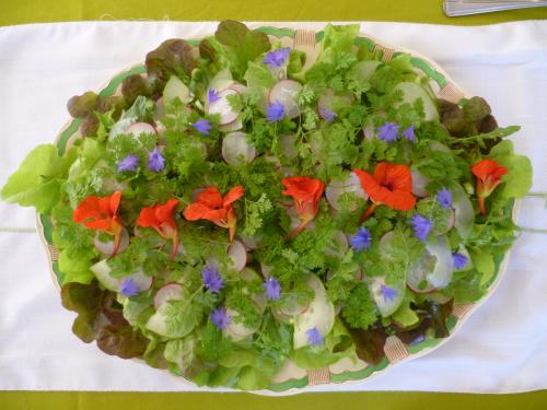 Filename: 21.jpg
Size: 520.2 KB
Uploaded: 5th-Jul-19, 01:50 PM
Views: 126x