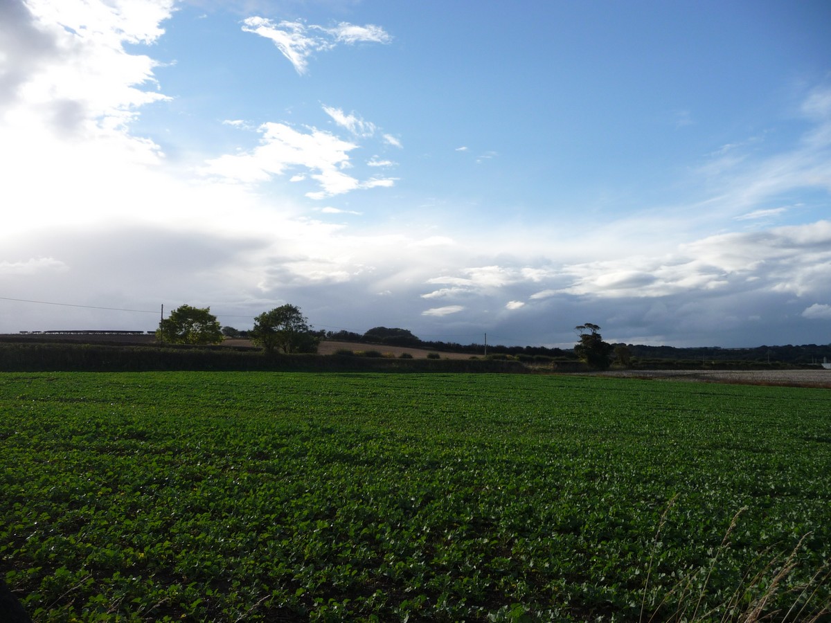 A view out across the fields