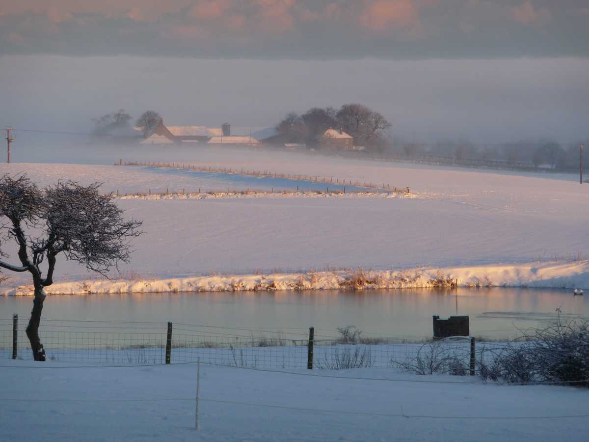 The fields covered in snow