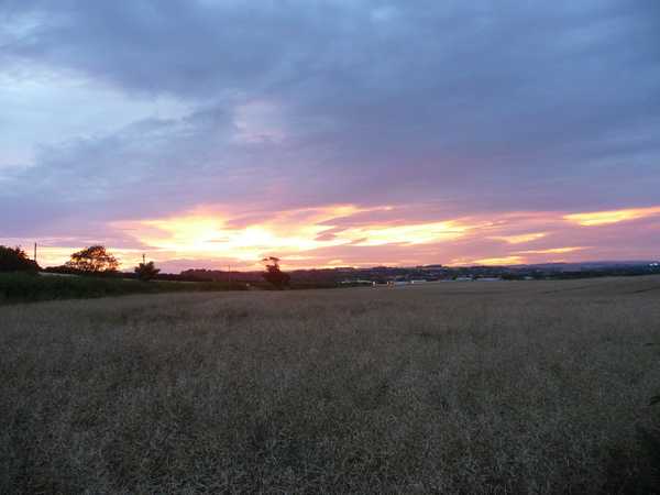 The sun setting over the fields