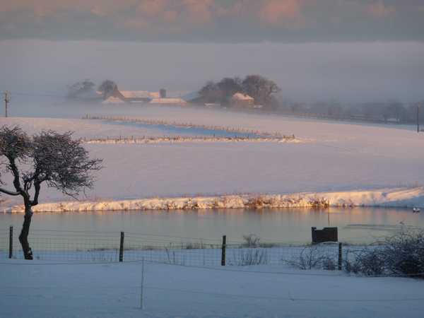 The fields covered in snow